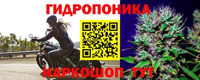 прущий лед Сланцы
