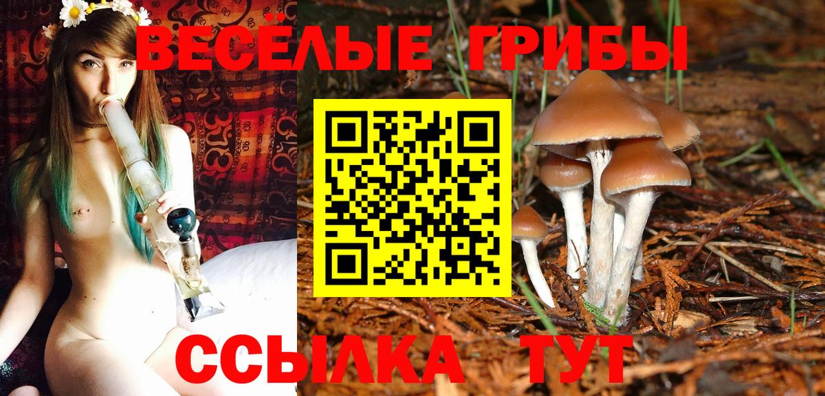 Галлюциногенные грибы Magic Shrooms  Вход с VPN  где купить   Сарапул 